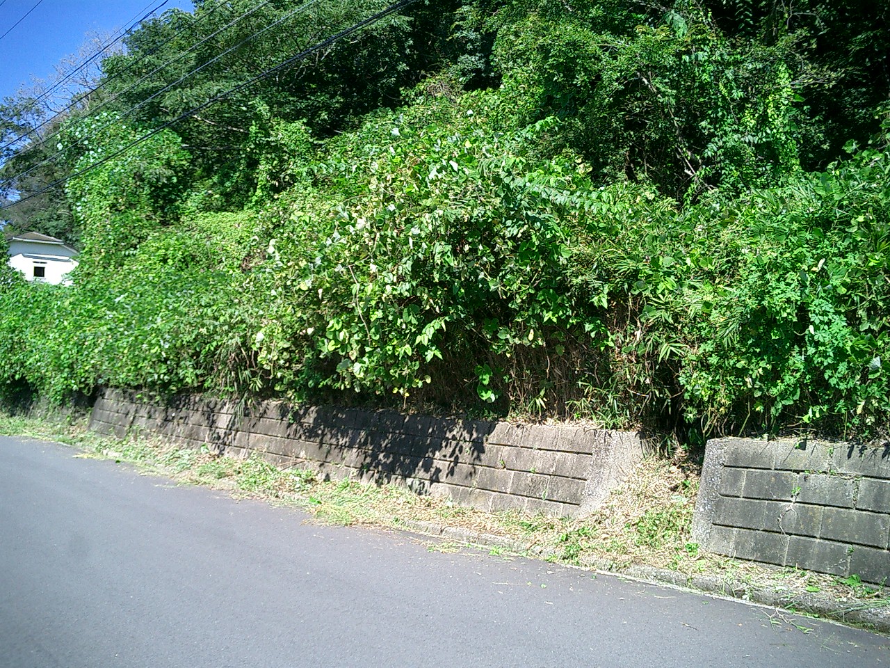 亀山市関町萩原：雑種地